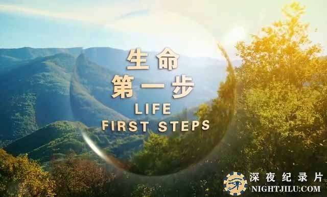 Life-First-Steps.jpg