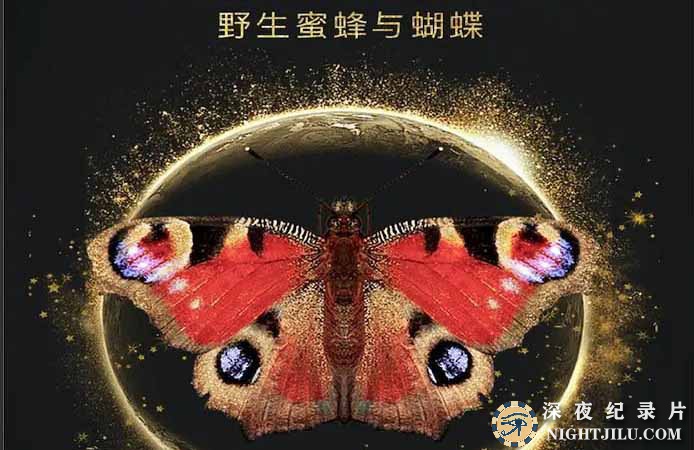 TAI-YANG-ZHI-ZI.jpg