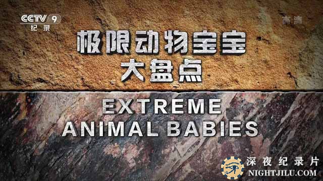 Extreme-Animal-Babies.jpg