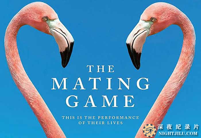 The-Mating-Game.jpg