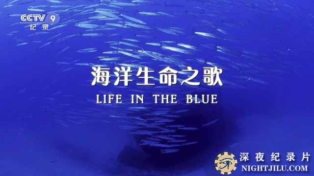 Life-in-the-Blue.jpg