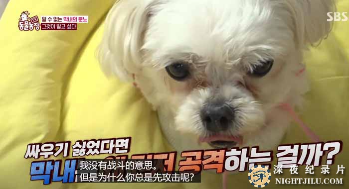 TV-dong-wu-nong-chang-1.jpg