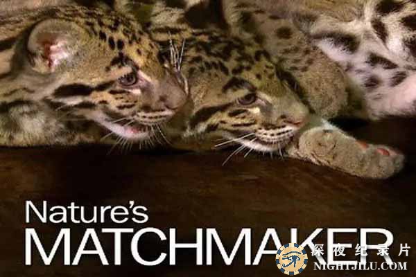 Natures-Matchmaker.jpg