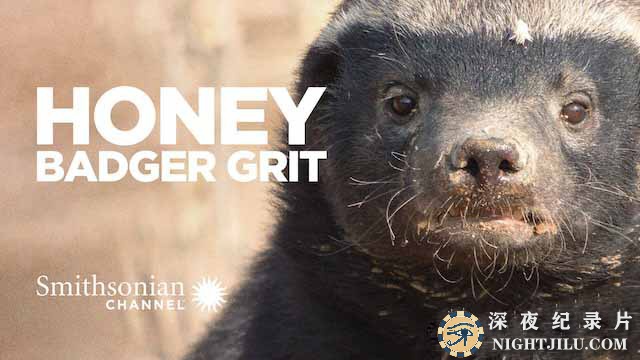 Grit-Honey-Badger-Tough-1.jpg