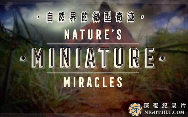 Nature-s-Miniature-miracles.jpg