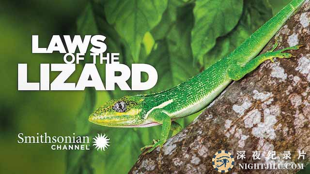 Laws-of-the-Lizard.jpg