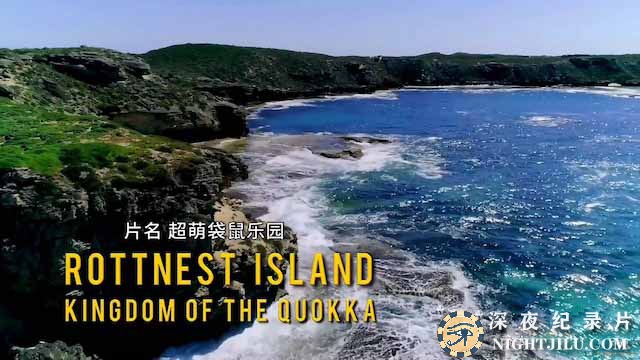 Kingdom-of-the-Quokka-1.jpg