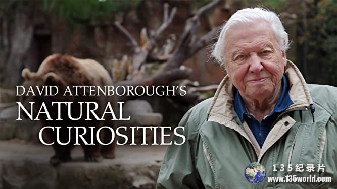 David-Attenborough’s-Natural-Curiosities-S1.jpg