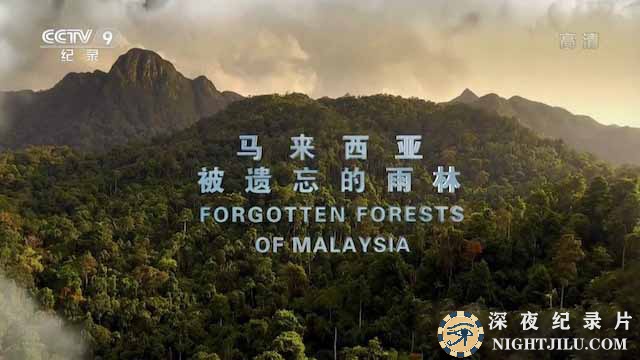 Forgotten-Forests-of-Malaysia.jpg