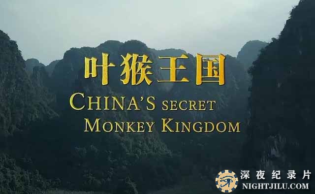 monkey-kingdom.jpg