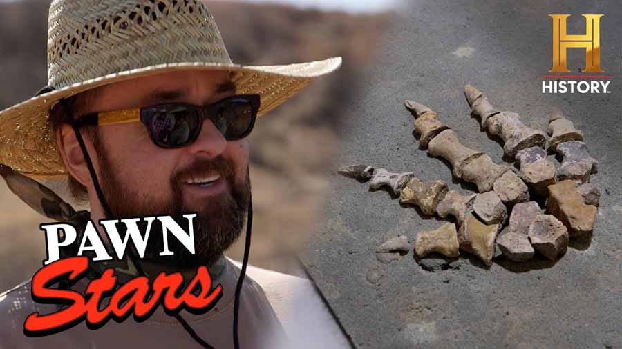 Pawn-Stars-S21.jpg
