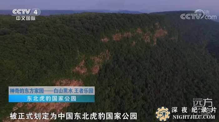 dong-fang-jia-yuan.jpg