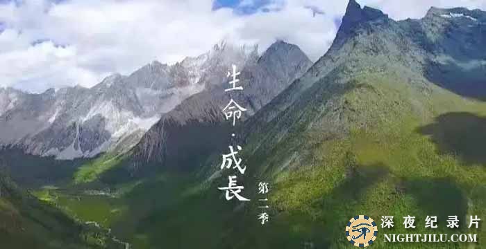 SHENG-MING-CHENG-ZHANG-S2.jpg