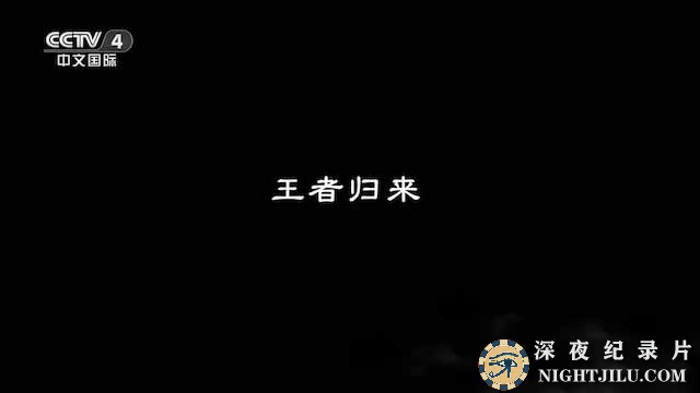 wangzheguilai.jpg