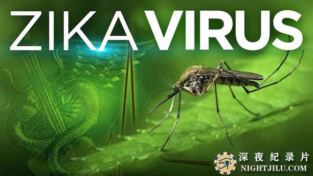World-War-Zika.jpg