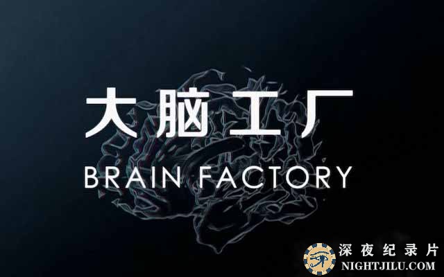 Brain-Factory.jpg