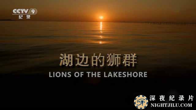 lions-of-the-lakeshore.jpg