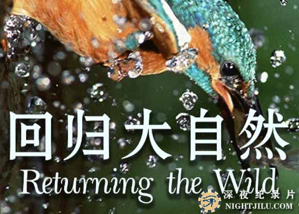 Returning-the-Wild.jpg