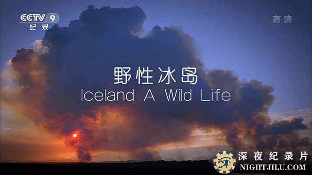 Iceland-A-Wild-Life.jpg