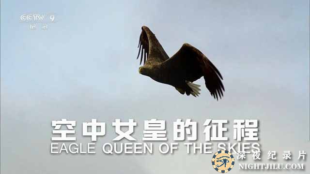 Eagle-Queen-of-the-Skies.jpg