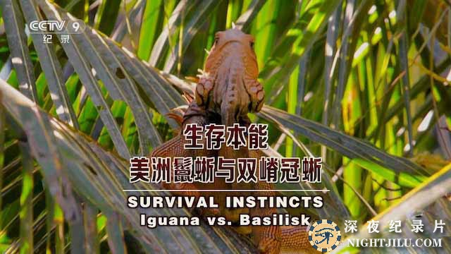 Survival-Instincts.jpg