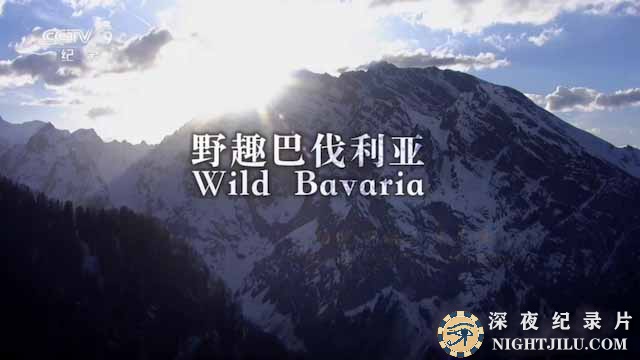 Wild-Bavaria.jpg