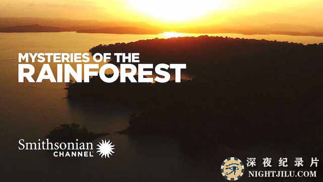 Mysteries-of-the-rainforest.jpg