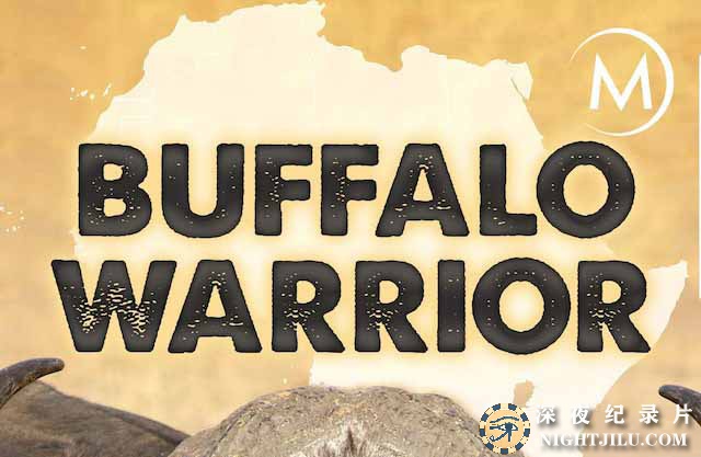 Buffalo-Warrior.jpg