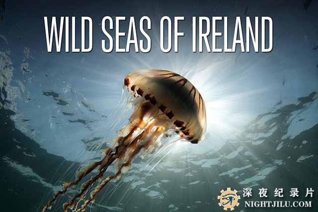 Wild-Seas-of-Ireland.jpg