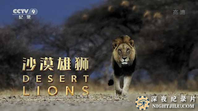 Desert-Lions.jpg