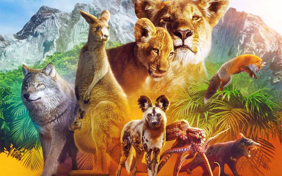Animal-S1.jpg