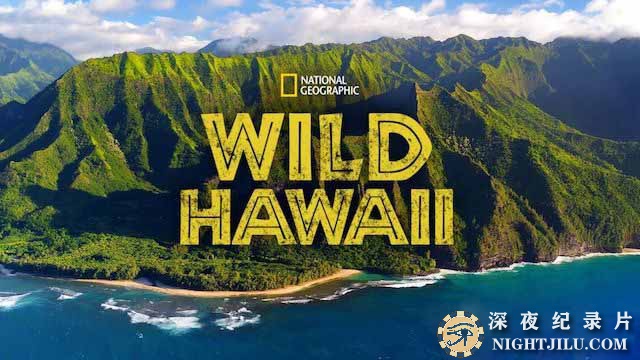 Wild-Hawaii-1.jpg