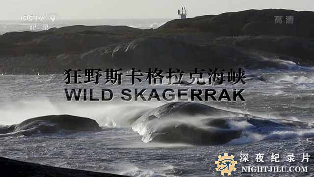 Wild-Skagerrak.jpg