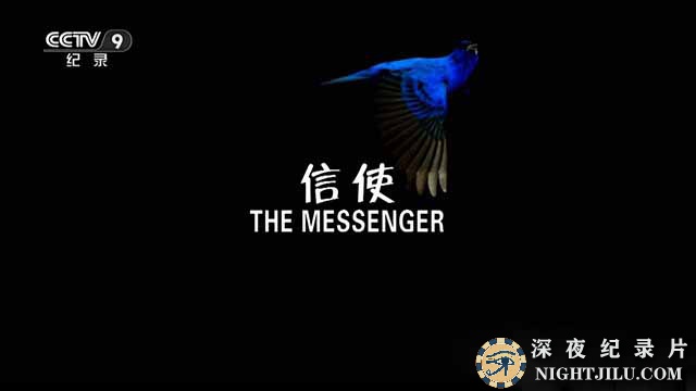The-Messenger.jpg