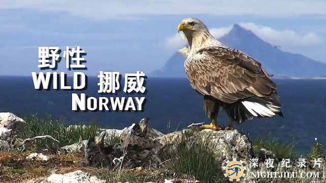 Wild-Norway.jpg