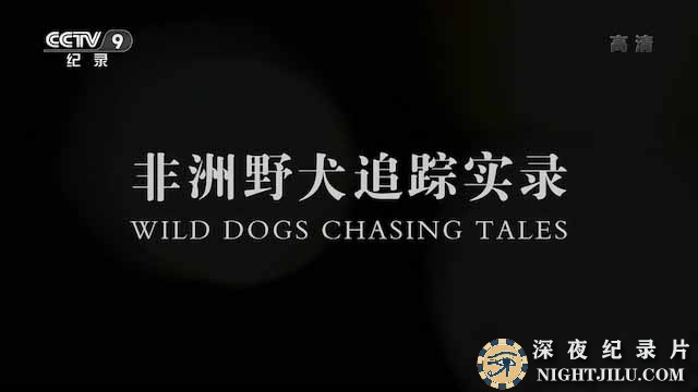 Wild-Dogs-Chasing-Tales.jpg
