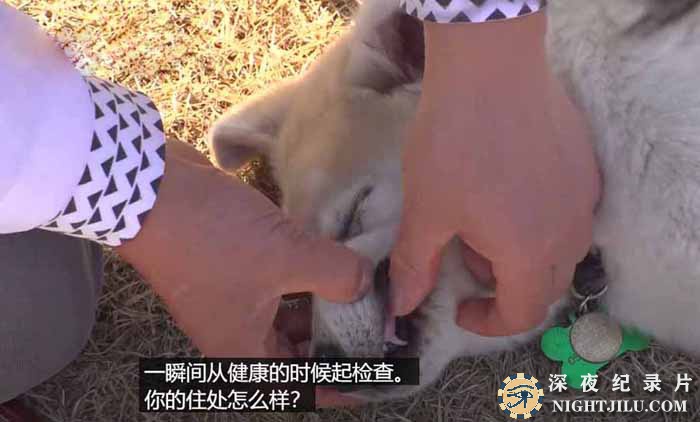 TVDONG-WU-S13.jpg