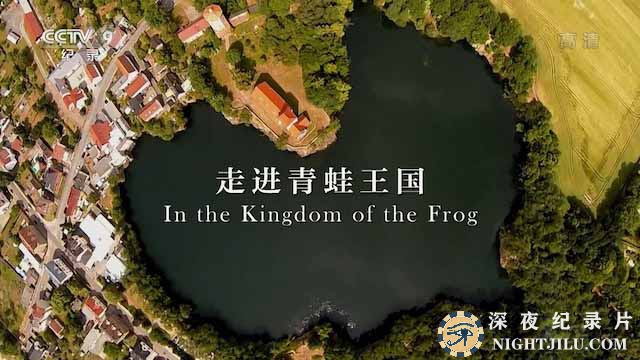 In-the-Kingdom-of-the-Frog.jpg