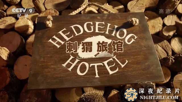 Hedgehog-Hotel.jpg