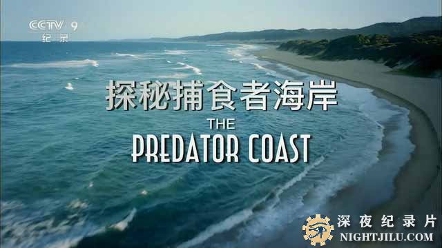 The-Predator-Coast.jpg