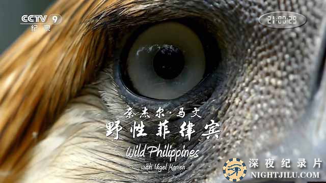 Wild-Philippines.jpg