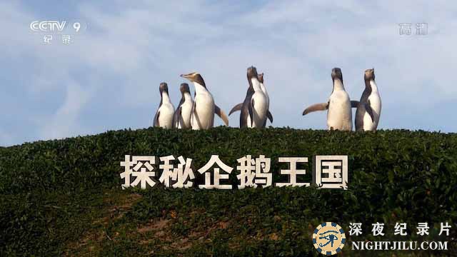 Penguin-Central.jpg