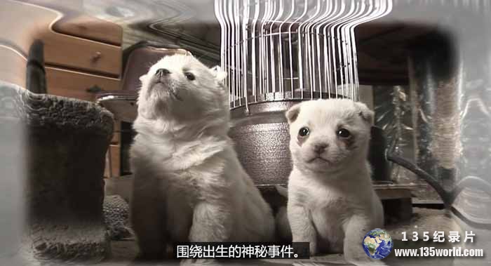 DONG-WU-S2.jpg