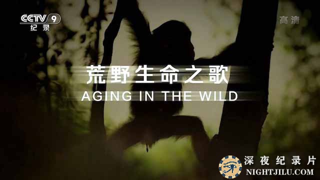 Aging-in-the-Wild.jpg