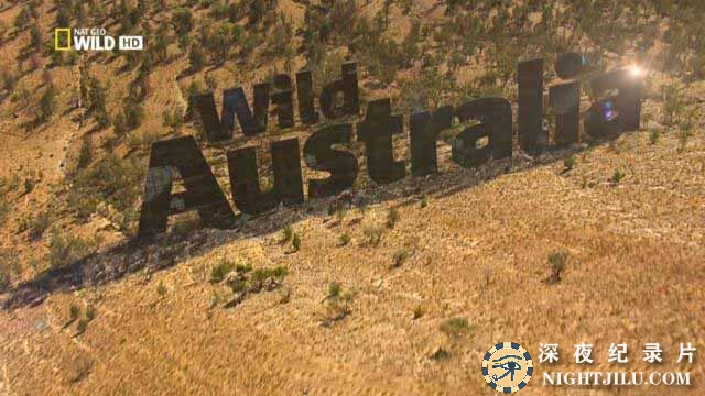 Wild-Australia02.jpg