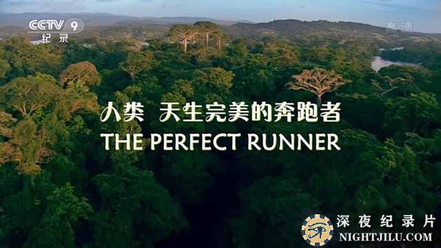 The-Perfect-Runner.jpg