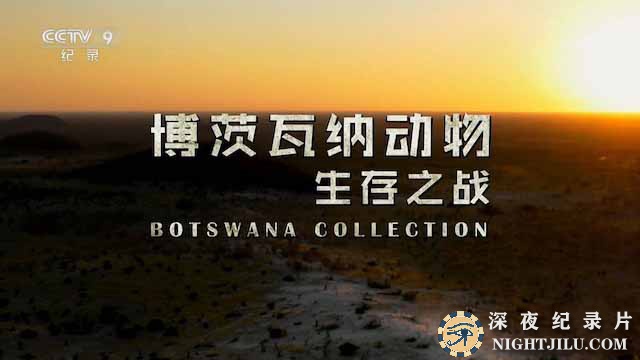 botswana-collection.jpg