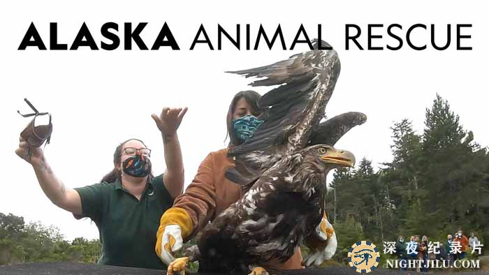 Alaska-Animal-Rescue-S2.jpg