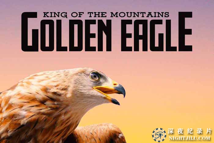 King-of-the-MountainsThe-Golden-Eagle.jpg