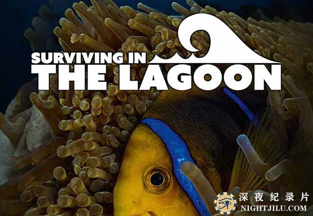 Surviving-in-the-Lagoon.jpg